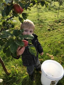 apple harvest common ground alaska 2018