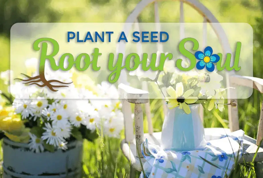 plant a seed root your soul