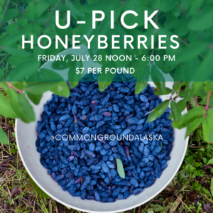 Honeyberry U-Pick