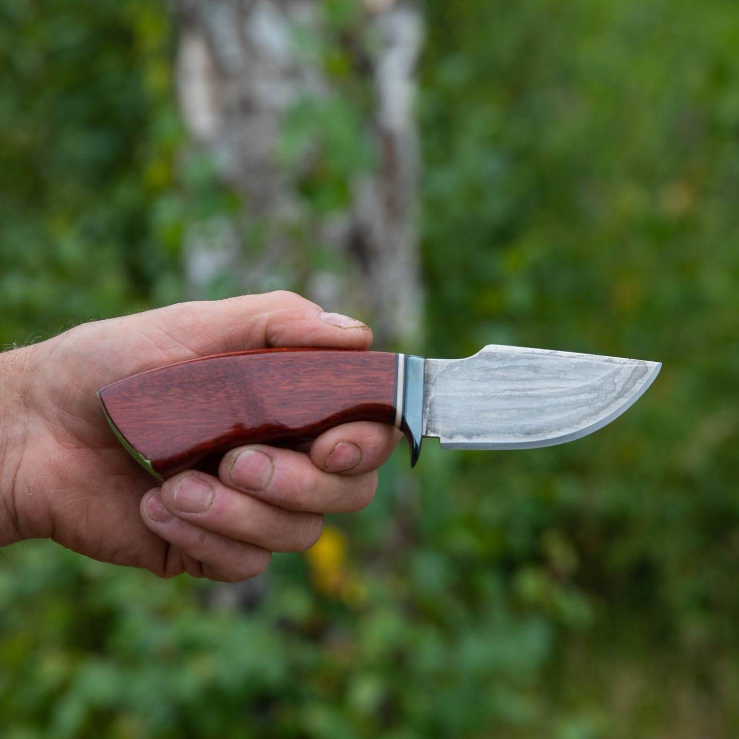 ALASKA MADE HAND FORGED SKINNER KNIFE