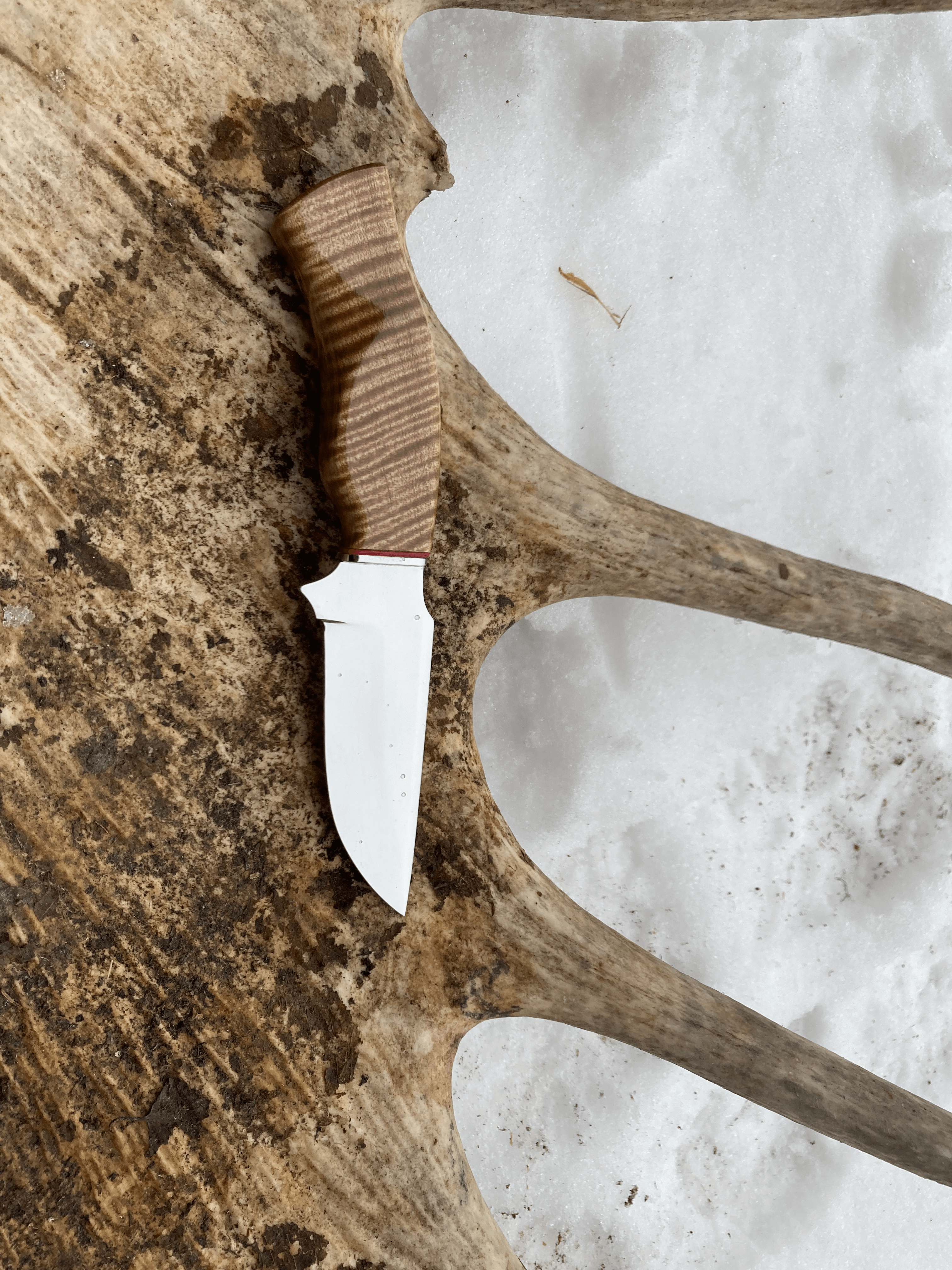 Alaska Made Hand Forged Everyday Carry Knife