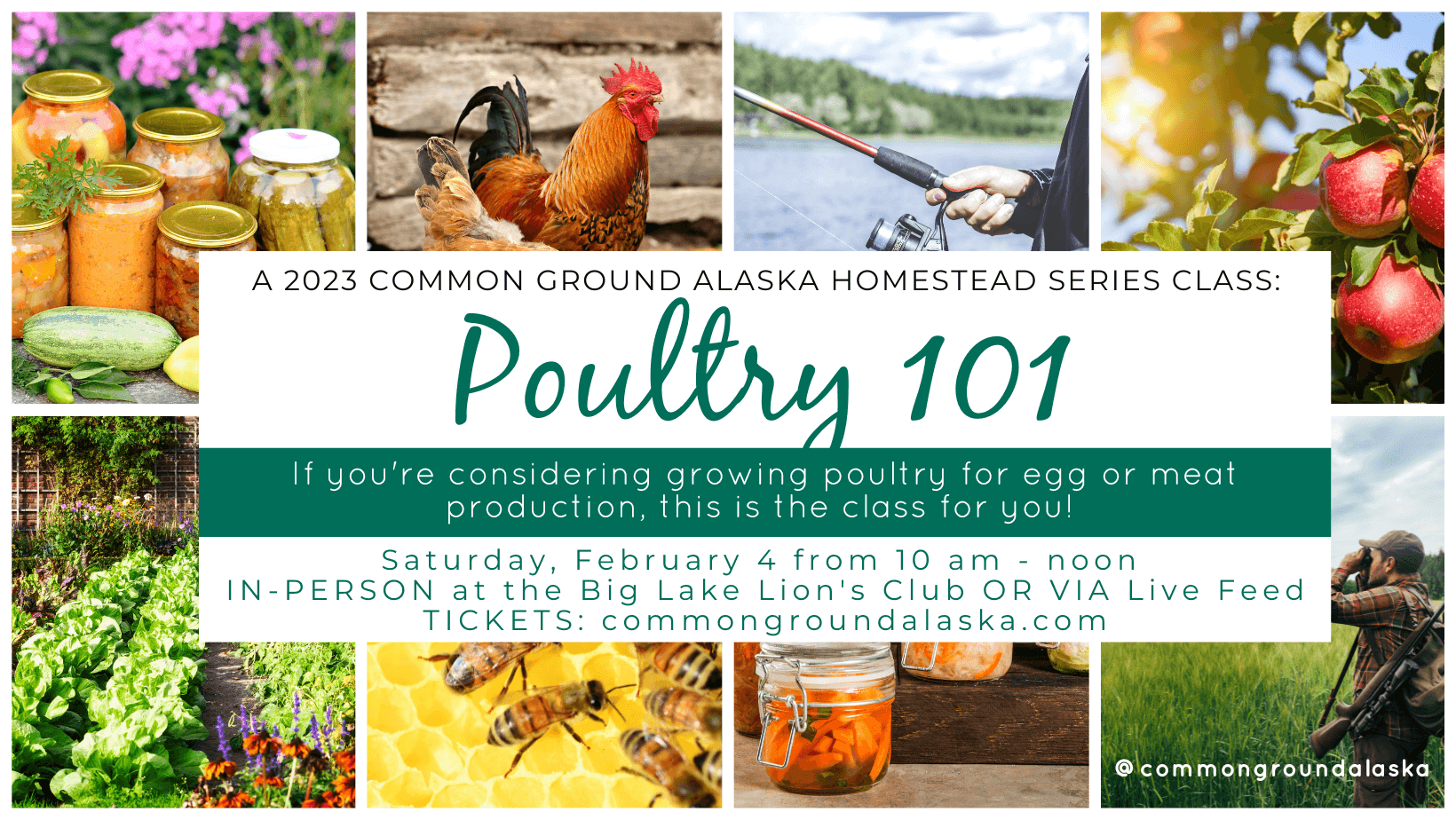 Poultry 101