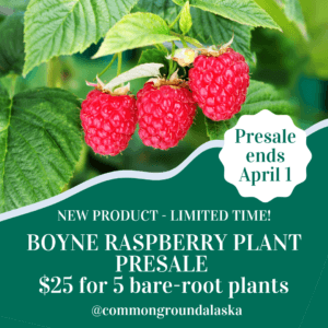 boyne raspberry plants alaska