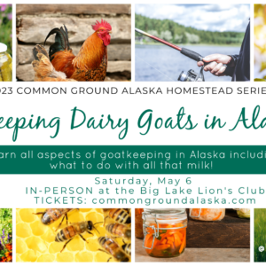 Dairy goats in alaska