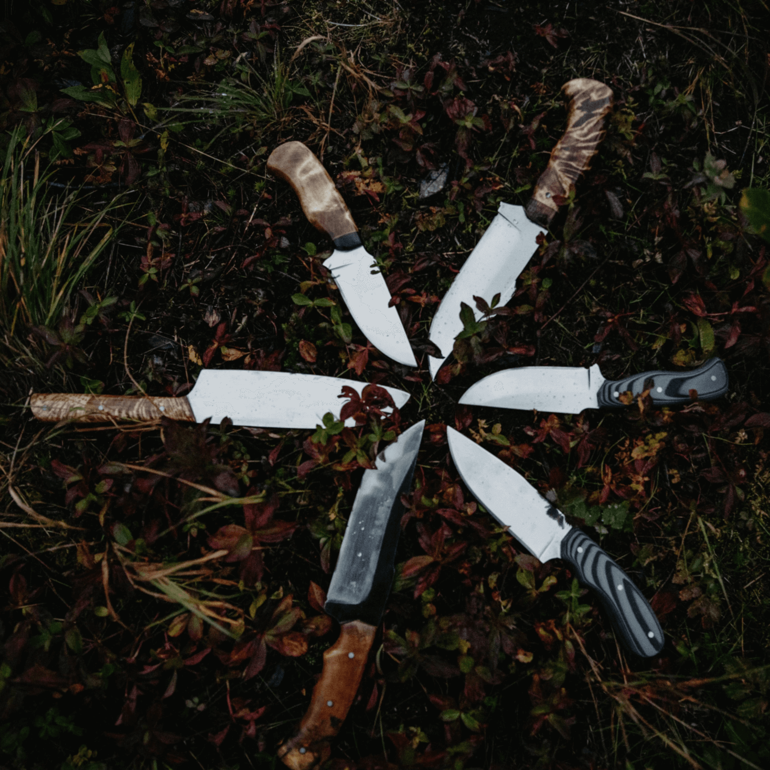 Common Ground Alaska