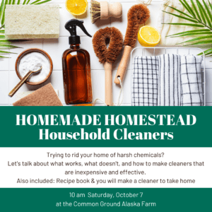 Homemade Homestead Cleaners