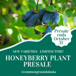 Honeyberry Plant Presale 2023