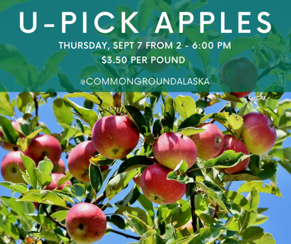 Alaska Apples U Pick 2023