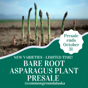 Asparagus 2023 Plant Presale