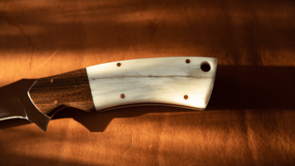 WILLOW – Alaska Made Hand Forged Fillet Knife Moose Bone & Black Walnut Handle - Image 4