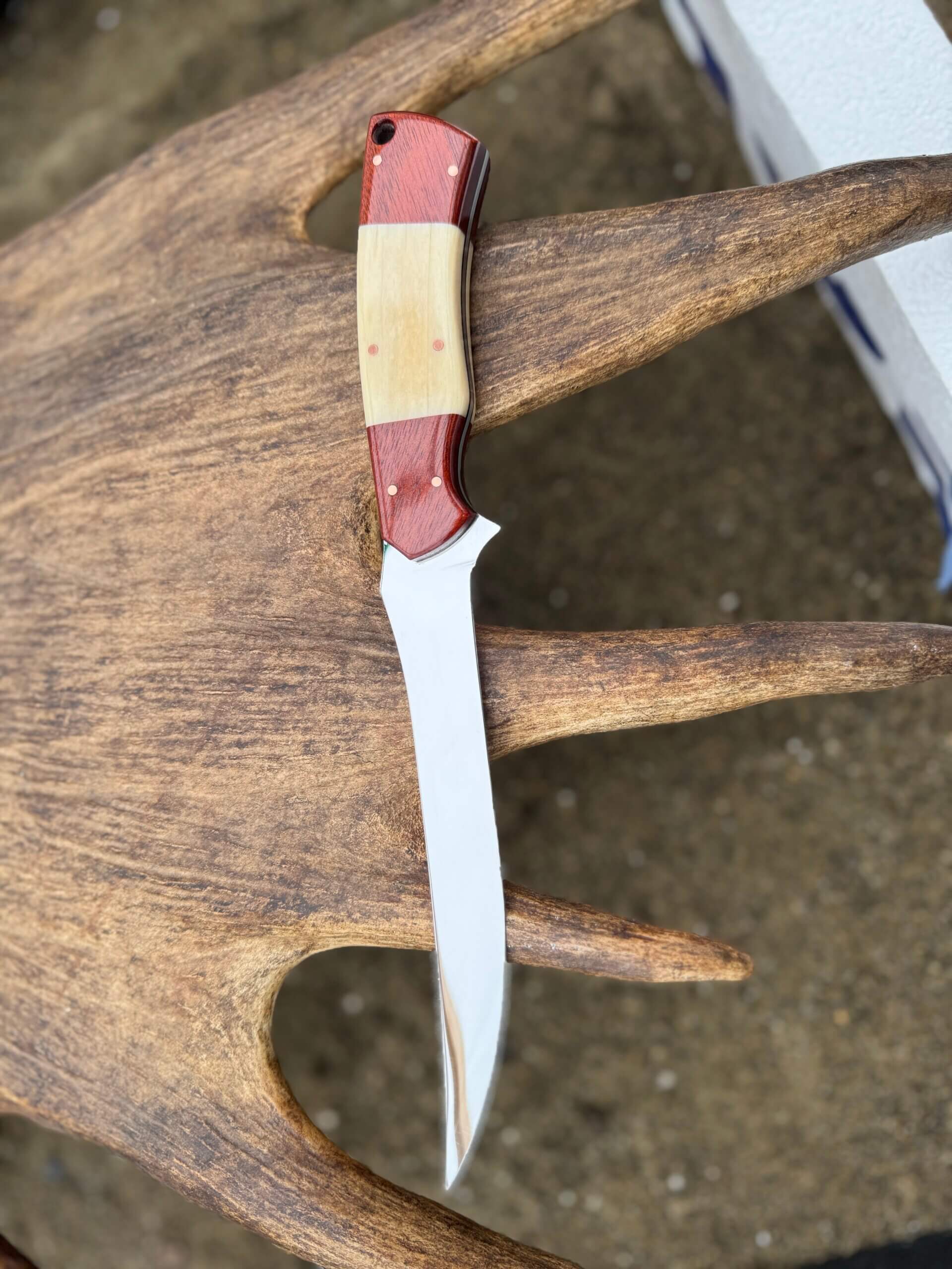 LITTLE WILLOW – Alaska Made Hand Forged Fillet Knife Bloodwood & Moose Bone Handle