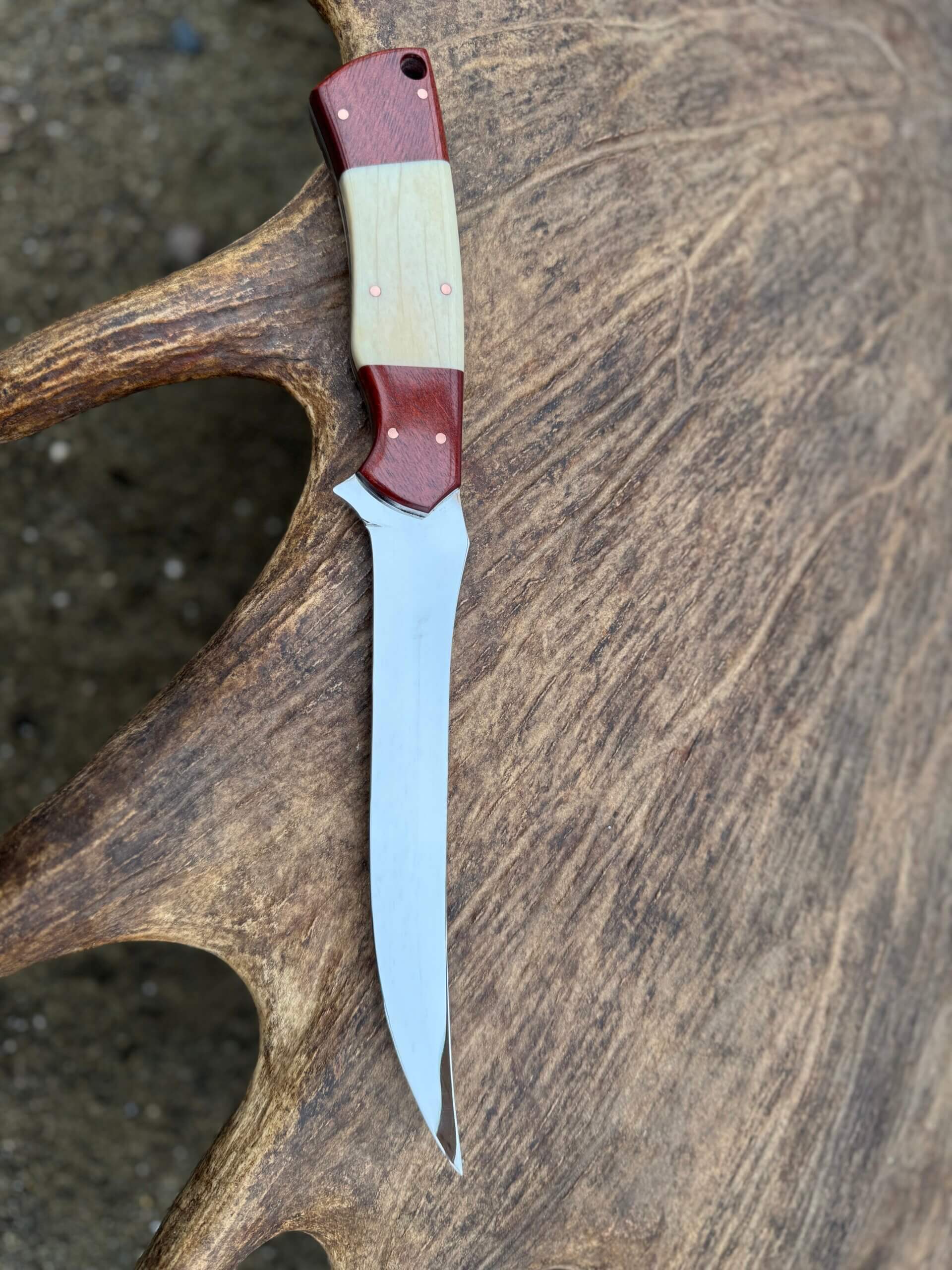 LITTLE WILLOW – Alaska Made Hand Forged Fillet Knife Bloodwood & Moose Bone Handle - Image 3