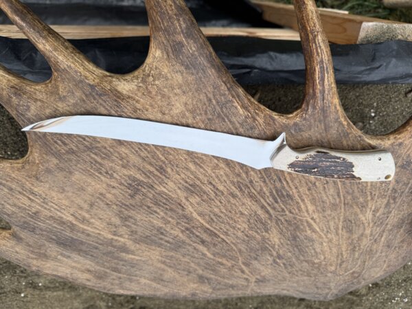WILLOW – Alaska Made Hand Forged Fillet Knife Moose Antler Handle