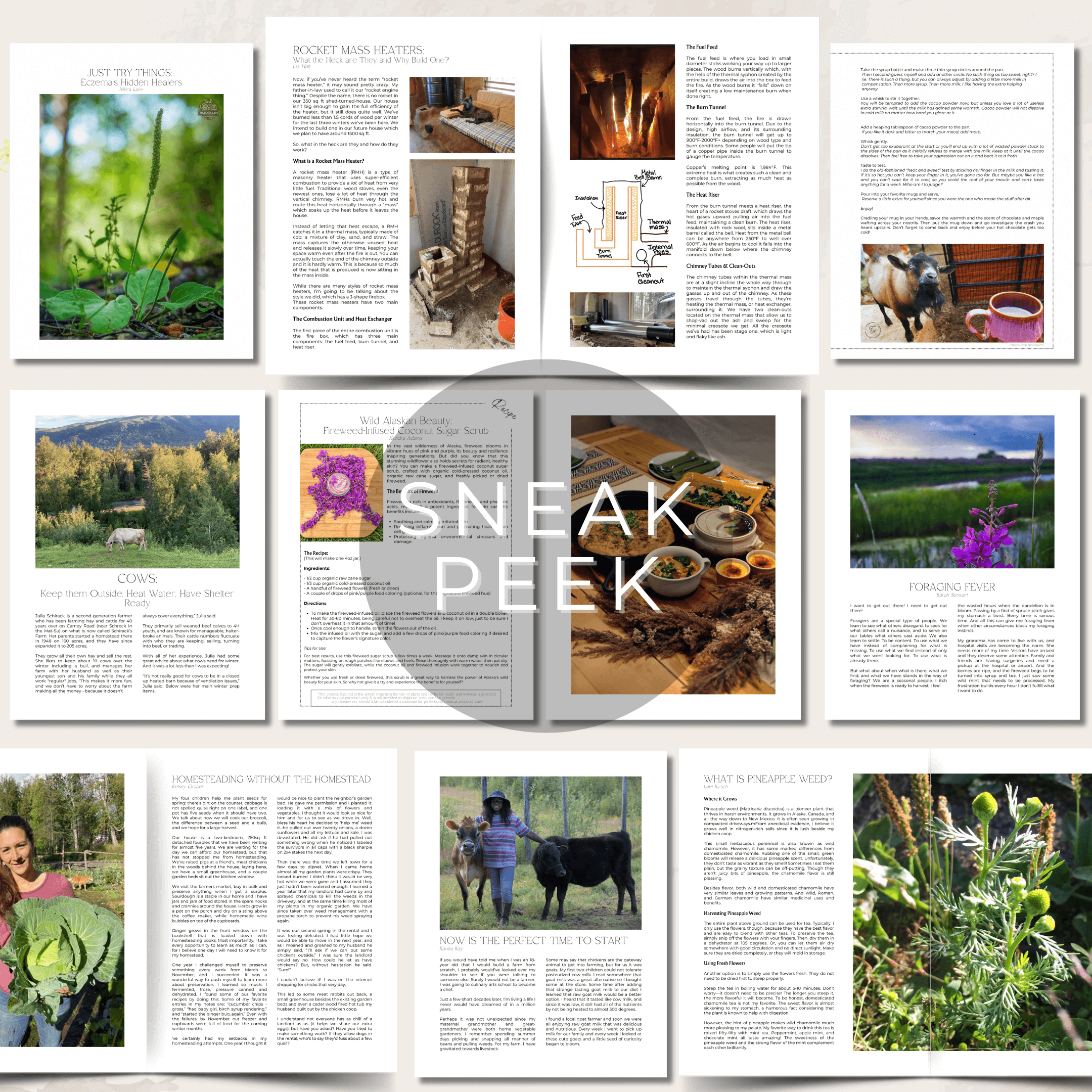 Sustainable Alaska Magazine - Fall 2025 - Image 5