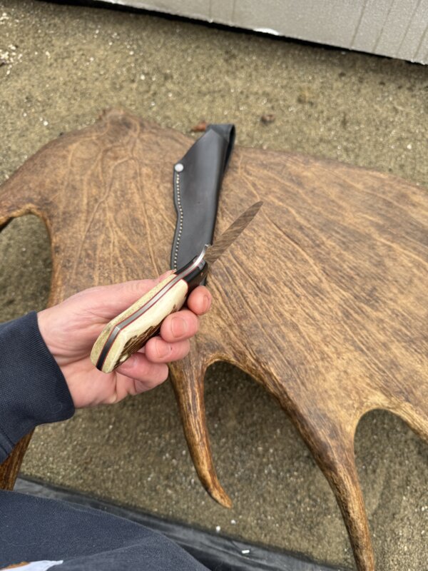 LITTLE SU – Alaska Made Hand Forged Knife w/ Moose Antler Handle - Image 6