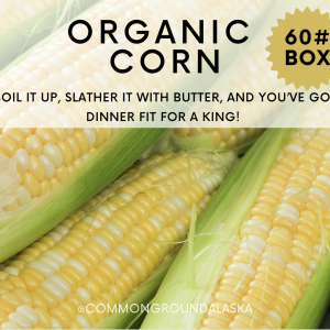 BULK CORN