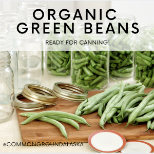 Green Beans