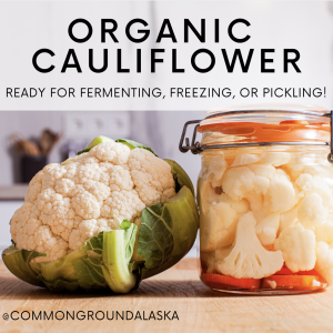 Cauliflower